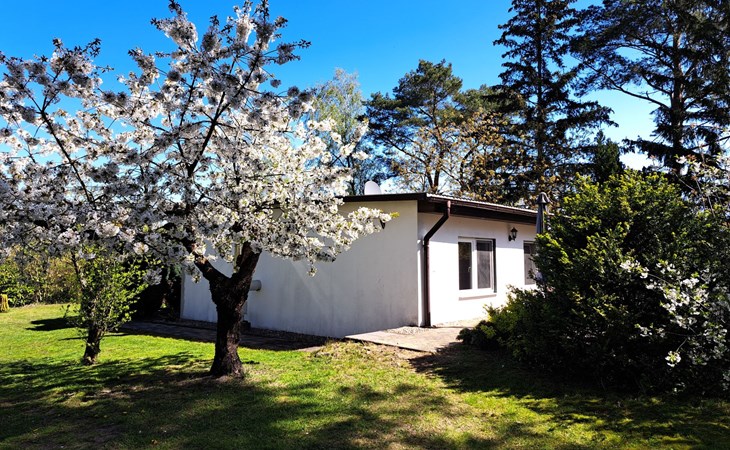 mit Terrasse mitten im Grünen 1
