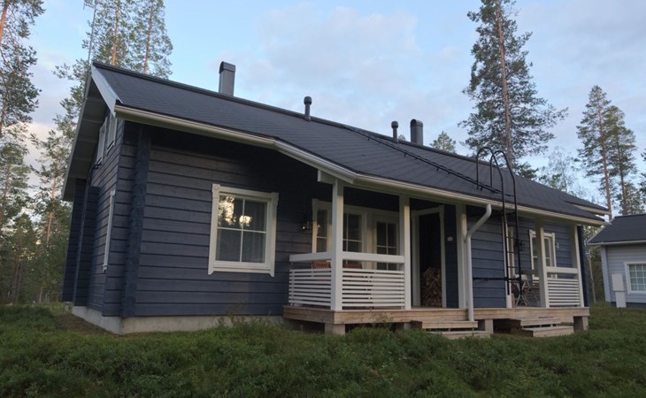 Blueberry on top b 1