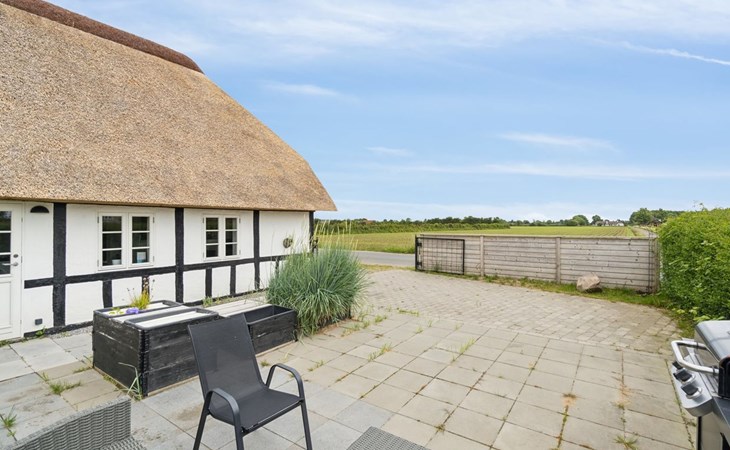 "Thessa" - 900m from the sea in SE Jutland 1