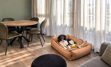 Knilles 4 pers. by the water | Pet-friendly stay 3