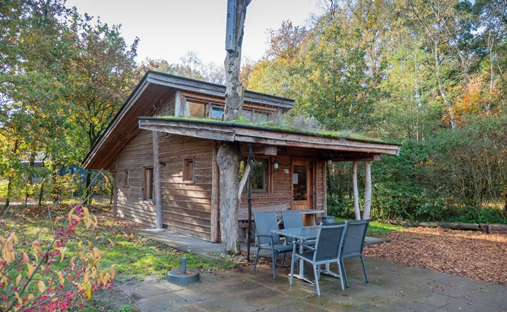 Nature Lodge 6 1