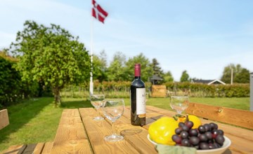 „Tican“ – 400 m vom Meer entfernt in Südostjütland 2