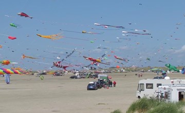 „Iliane“ – 100 m vom Meer entfernt in Westjütland 3