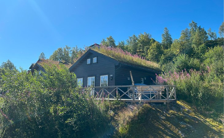 3 bedroom lovely home in åseral 1