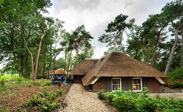 Sprielderbosch 24 Luxury holiday rental in the woody Veluwe region 3