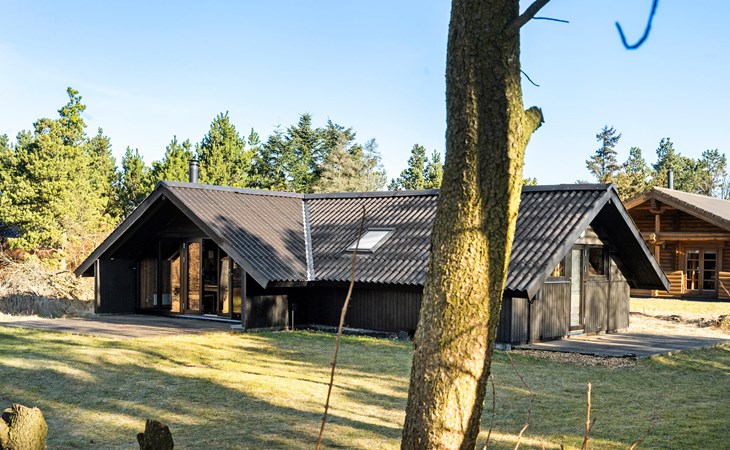 Wunderschönes Haus in Skjern mit WLAN 1