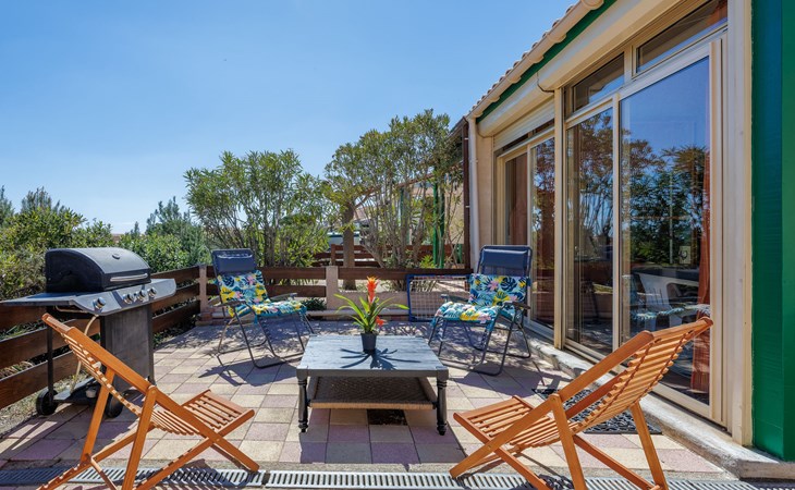 Little Cicada (SPI100) 1