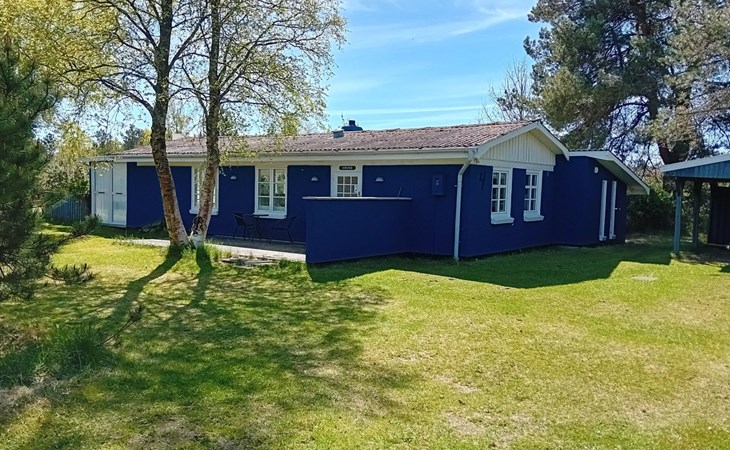 "Siggi" - 400m from the sea in NE Jutland 1