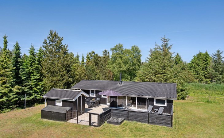 "Ally" - 250m from the sea in NE Jutland 1