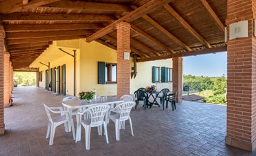 Ehemalige Weinberge mit Mandelbäumen 3