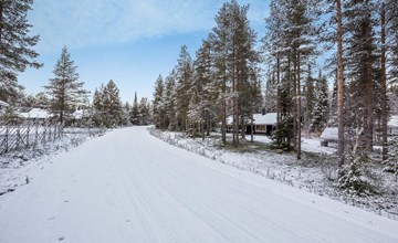 Harpa's hut/honeyberry 2