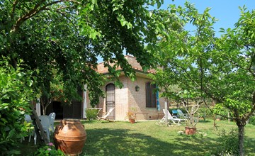 Podere Conte Francesco-La Palma 2