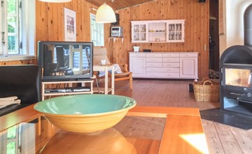 "Cassius" - 600m from the sea in NW Jutland 3