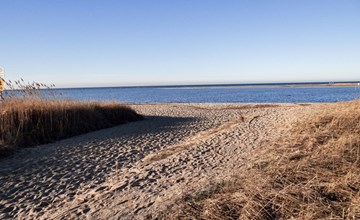 Gollwitzerpark (Poel-eiland) 2