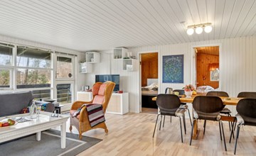 "Karelia" - 800m from the sea in NE Jutland 2