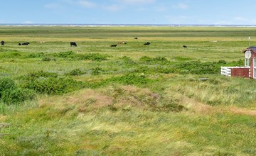 "Mortensen" - 350m from the sea in Western Jutland 3