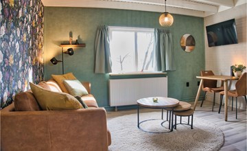 Nice apartment in Schoonloo with WiFi 3