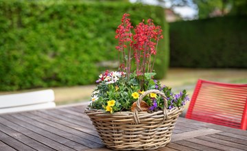 Schouwse duin 13 vakantiehuis met grote tuin en veel privacy 3