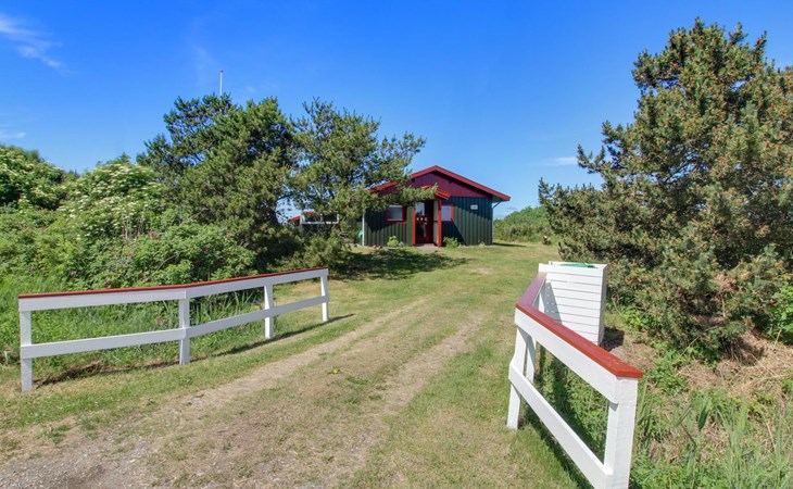 "Zekine" - 2.5km from the sea in Western Jutland 1