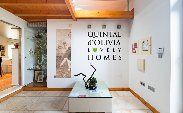 D'Olivia (NZE220) 1