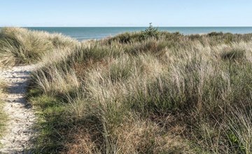 "Jeldrik" - 100 meter van de zee in NO Jutland 3