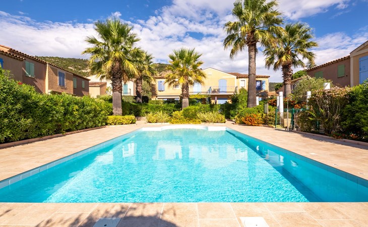 De olijfbomen (PLT201) 1