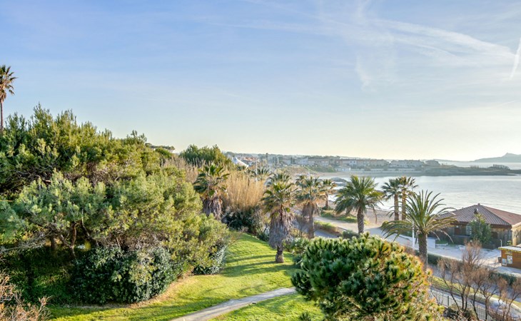 De oevers van Coudoulière 1