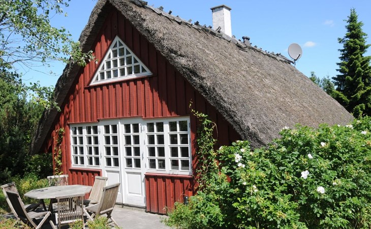 "Kalv" - 75 meter van de zee in Zuidoost-Jutland 1