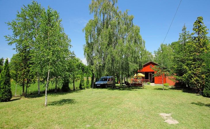 Rot 1