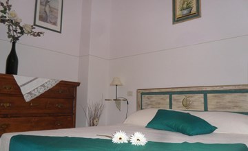 Rose in Cagli 3