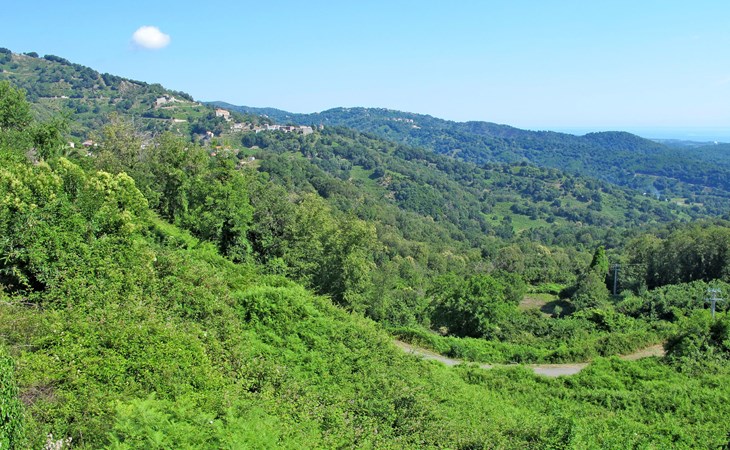 Casa Santa Reparata 1