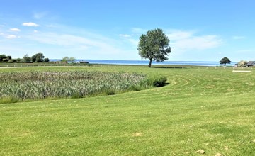 "Manola" - 300m from the sea in Funen 3