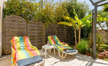 Die Olivenbäume (TSH111) 3