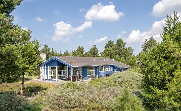 „Dorti“ – 3 km vom Meer entfernt in Westjütland 1