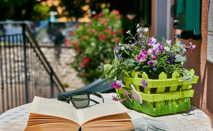 Komfort-Apartment mit Balkon BV1 1