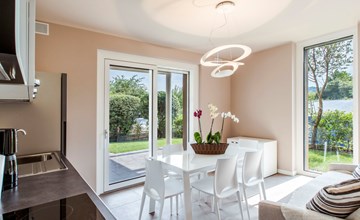 Iris und Sonnenblume 3