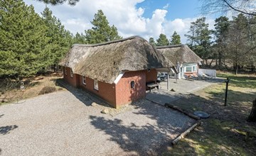 "Grep" - 700m from the sea in Western Jutland 3