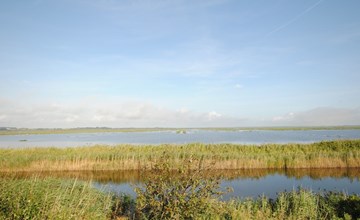 "Leocadia" - 150 meter van de inham in het Limfjord 2