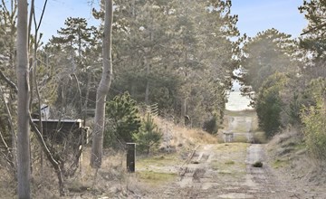 "Dagino" - 200m from the sea 3