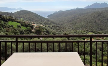 Asphodels (NLO100) 2