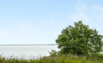 „Annica“ – 150 m vom Meer entfernt in Südostjütland 2