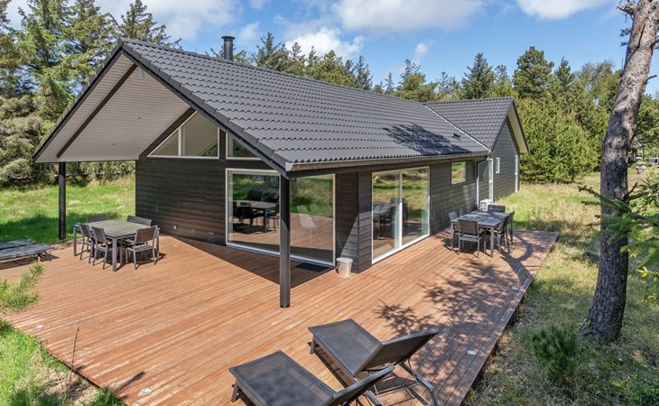 "Delan" - 1.3km from the sea in Western Jutland 1