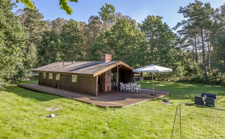 "Thorger" - 3km from the sea in NE Jutland 1