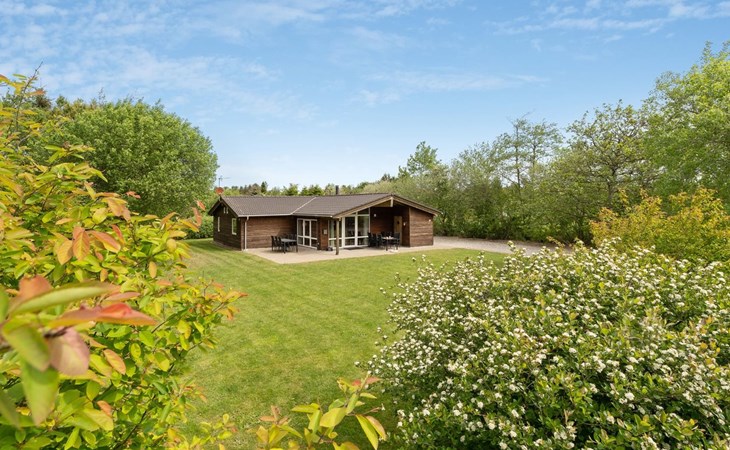 "Els" - 900m from the sea in NW Jutland 1