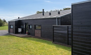 "Herdie" - 900m from the sea in NW Jutland 2