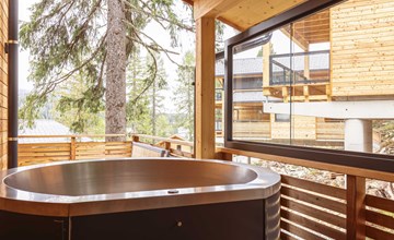 Superior # 12 Sauna & Hot Tub 2