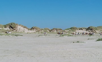 „Sigrun“ – 4 km vom Meer entfernt in Westjütland 3