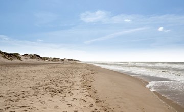 "Felicita" -  from the sea 3