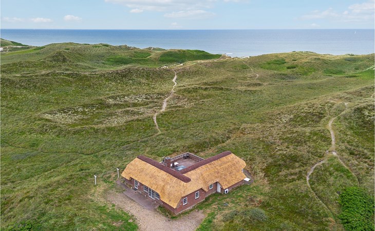 Pet friendly home in Ringkøbing 1