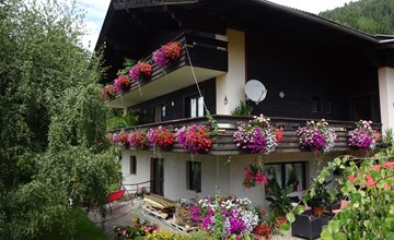 Phlox in Millstatt 2